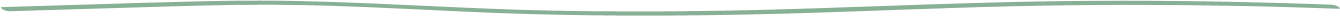 section separator